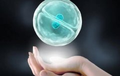 不育不孕是治疗还是直接试管?哪种方式比较好?