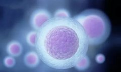 三代试管需要满足什么条件?医生建议做好心理准备