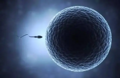 拉萨三代试管服务医院有这些！附权威排名榜单