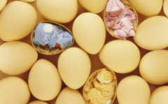 乌鲁木齐试管费用与流程详解！深入剖析，让您明明白白花对钱