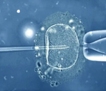 石家庄三代试管实现男孩梦想：科学方法解析，为您的生育之路护航