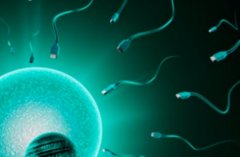 为什么女性年龄在做试管婴儿时有限制？如何延缓生育年龄限制？