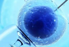 乌克兰试管名声卓著，一文了解三家知名的三代试管医院