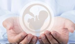 泰国顶尖私立助孕机构揭秘：试管科技引领生育新希望！