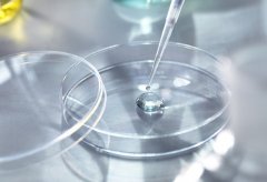 浙江试管攻略，找医院、查费用、看成功率...