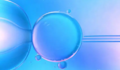 长春未婚可以做试管吗？法律法规解读来了！