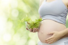 试管知识普及：胚胎实验室如何护航生命之旅？