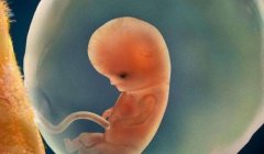 试管两次都失败了是怎么回事?试管总是失败怎么办?