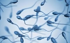 重庆哪些试管医院是公立的?试管医院怎么样?