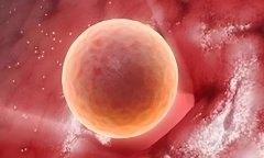 现在医院可以试管包生男孩吗?郑州哪家医院可以?