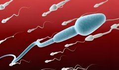 试管一般收费多少?试管的成功率多少？