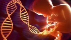 西安第三代试管需要花费多少钱?西安第三代试管流程是怎么样的?