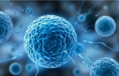 青岛试管费用全透视：预算规划指南，最低准备金达10万元