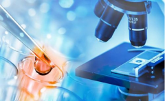 湖南试管医院精选：前三甲深度盘点，技术亮点全面解析