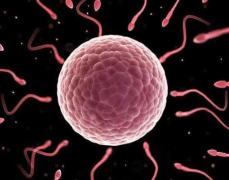 西宁试管报销新纪元：惊喜政策大放送，报销额度与限制全揭秘！