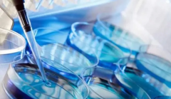 陕西试管费用需要多少？最新收费标准全面一览