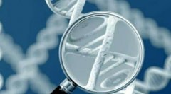 上海试管的基本流程，成功率和注意事项