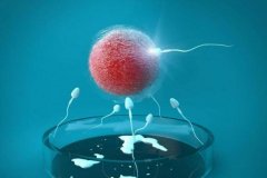 长沙不能做第三代试管的原因，怎么选择做第三代试管的医院？