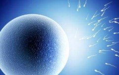 一文了解石家庄市值得信赖的三代试管医院