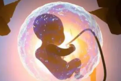 郑州试管揭秘：真的能包生'男'孩吗？风险与限制深度解析！