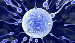 揭秘试管费用全貌,流程差异与费用详解!