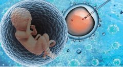 郑州试管医院名单，附服务介绍参考指南