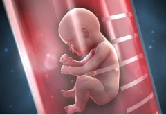 贵阳做三代试管大解析，附真实着床率