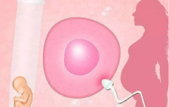 金华试管宝贝计划：揭秘试管账单，具体项目与费用全攻略，轻松拥抱