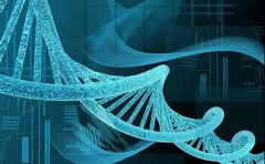 江苏试管宝贝包成功秘籍大公开！揭秘诊断之旅，解锁孕育奇迹全步骤