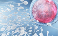 河南好孕百分百医院大揭秘！精选试管成功典范，治疗方案+医院特色全