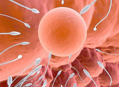 深圳北大医院试管之旅：费用大起底，轻松拥抱宝贝梦！