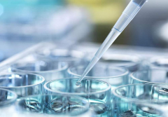 济南试管费用全解析：最新收费明细预估，助您预算无忧！