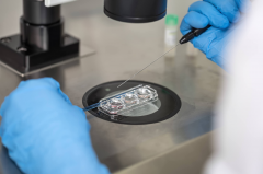 上海三代试管知名助孕机构TOP10权威榜单：精选信赖医院，助力好孕之路