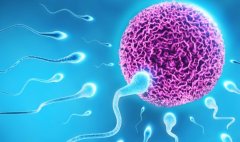 一文了解四家西安试管医院具体概况