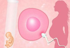 如何选择合适的未婚试管医院？湖南省未婚试管费用了解
