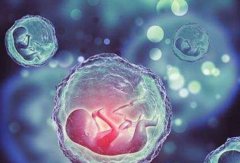 揭秘西宁试管生育男孩费用，供卵试管价格一并奉上！