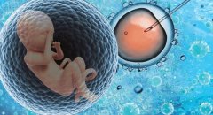 银川人工受孕服务价格项目表公示来啦！