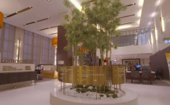 福建试管医院前十名揭晓，权威医院全面解析！