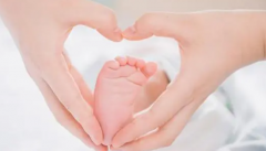 苏州试管套餐全解析，费用究竟高不高？