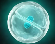 新疆试管技术领先！一探前十医院的奥秘与实力！