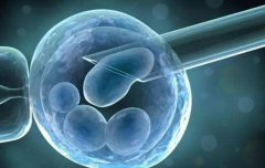 温州试管技术概述，温州试管医院档次对试管费用的影响