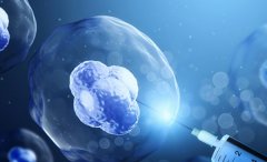 浙江试管的费用构成，降低试管费用的方法