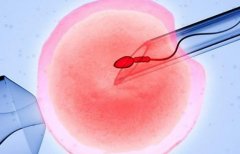 广西试管的成功率,广西试管的费用明细