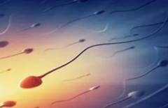 揭秘北京试管费用：一文掌握所有关键信息！