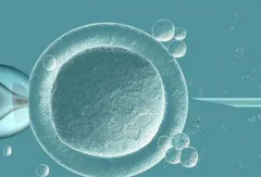 洛阳妇幼保健院三代试管费用及最新成功率一览