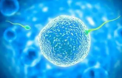 四川试管费用介绍：明细及开销一览