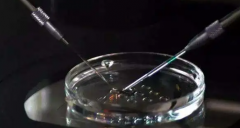 2023湘雅医院做三代试管情况详解与最新成功率数据