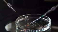 泰国三代试管费用高昂探秘：三点原因让你恍然大悟，速来点赞收藏！