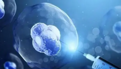 南宁试管费用比较：男孩与女孩治疗成本差异！