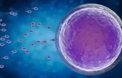 国内试管成本解析:附借卵生'男'孩详细费用指南!